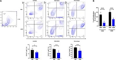 Discovering Myeloid Cell Heterogeneity in Mandibular Bone – Cell by Cell Analysis